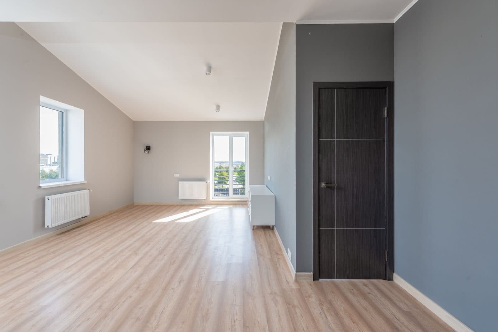 Heller, frisch gereinigter Neubau-Raum mit Parkett
