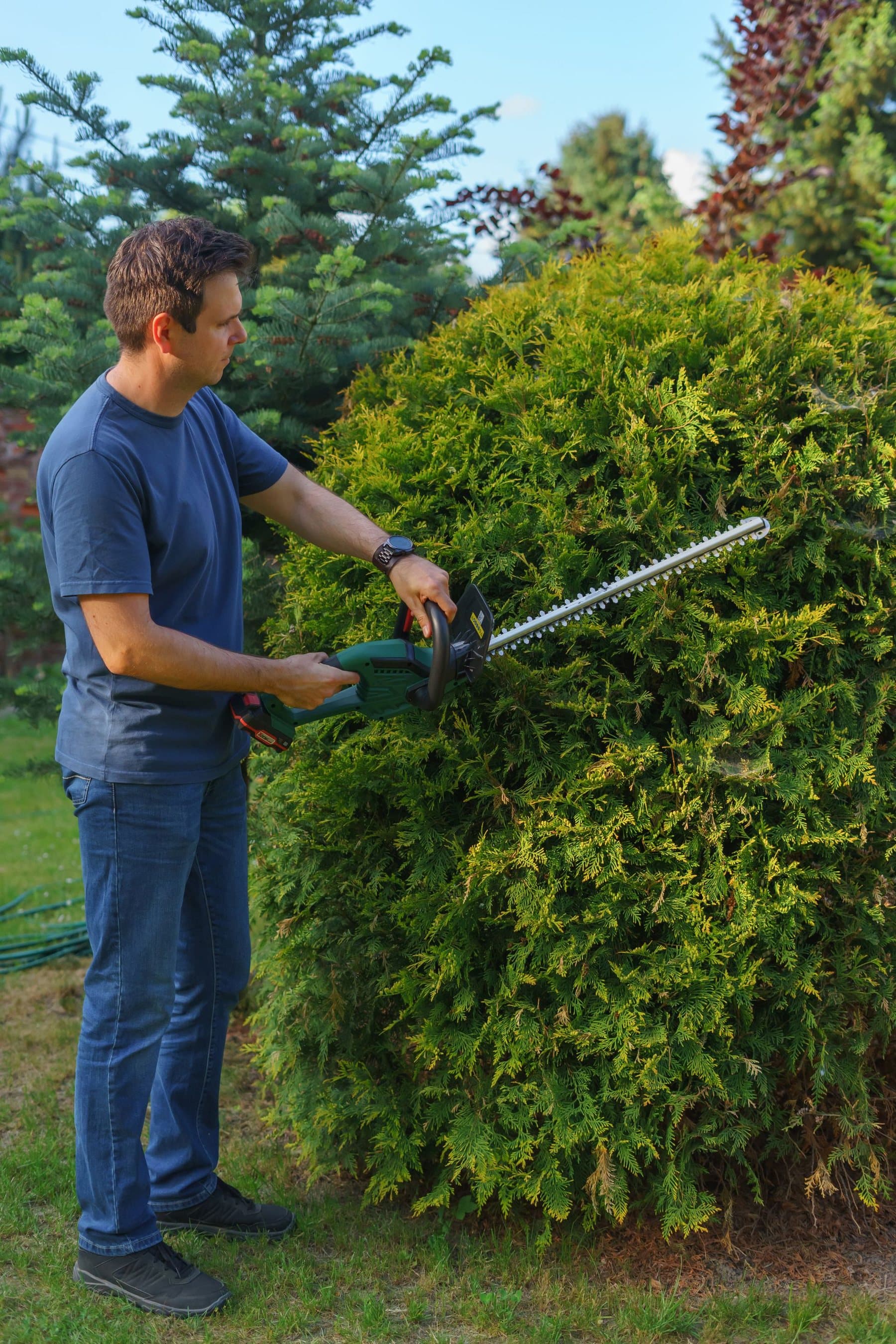 Gärtner schneidet eine Hecke mit der elektrischen Heckenschere